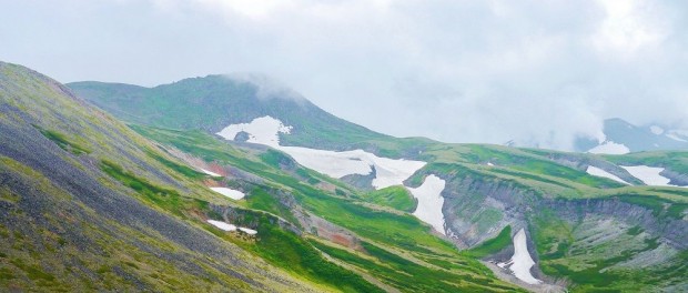 高山植物の女王コマクサも！北海道大雪山「赤岳」お花畑登山